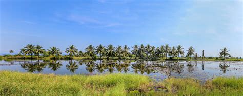 Bangkok to Poipet by taxi, train from THB 298.